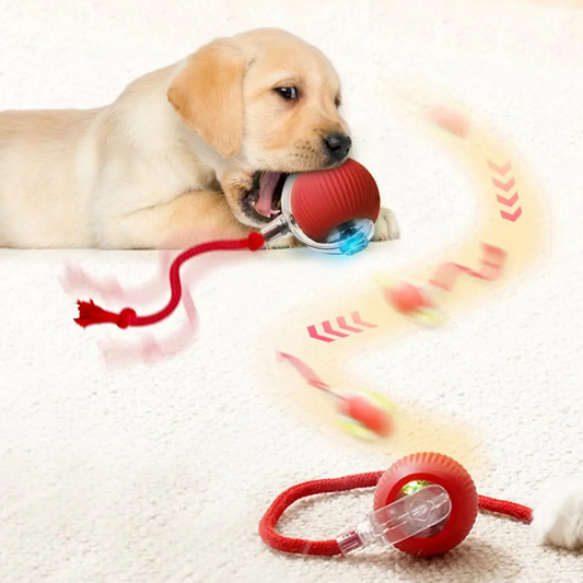 Palla Interattiva - Ricaricabile e Intelligente